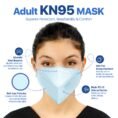 N95 Face Mask 3